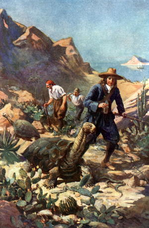 The Giant Tortoises of the Galapagos Islands