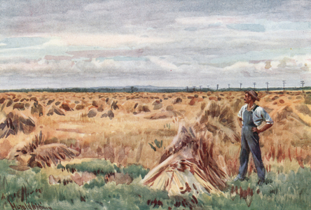 Along the Wheet Fields of Manitoba