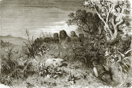 Hunter and lions