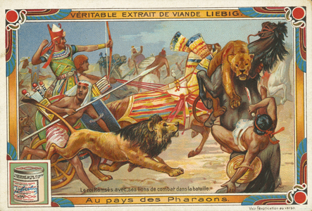Ramses with his lions in battle, Liebig card, early 20th century (chromo)