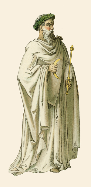 Druid in Judge's costume