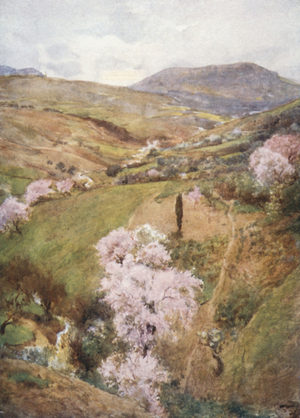 Spring Day in a Valley near Girgenti