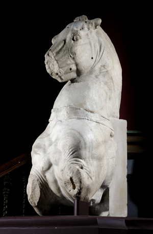 Front part of a horse (marble) (see also 371182 & 371184)