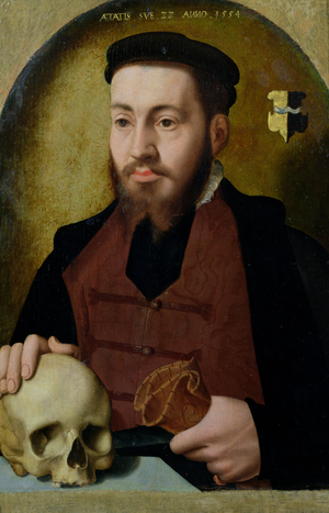Portrait of young man, 1554 (oil on panel)