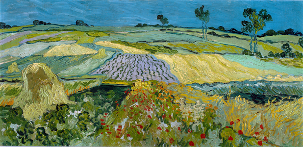 Fields near Auvers, 1890 (oil on canvas)