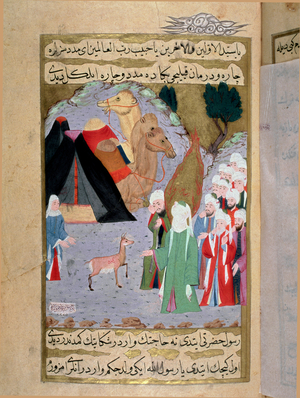 The prophete Muhammad (Mohammed or Muhammad) (570-632) listens to the weeping of a Miniature doe from a Turkish manuscript written by Erzeni, illustrated by Seyyid Suleiman Pasha, recounting the life of Muhammad 18th century. Istanbul, Turkish-Islamic Art Museum
