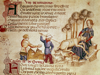 Representation of the unicorn, 13th-14th century (miniature)
