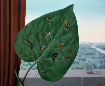The inner thinking Birds perch on the ribs of a leaf. Painting by Rene Magritte (1898-1967) Private collection.