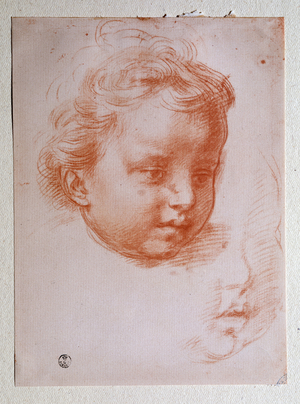 Putto's head (Drawing, 16th century)