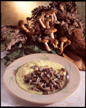 Food still life: polenta and mushrooms (photography)