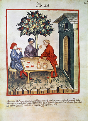 Medicine treaty:  salt water, c. 1400 (miniature)
