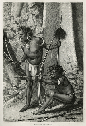 Portraits of two papous Karons, anthropophages, engraving by E.Mesples, to illustrate the voyage to New Guinee by Achille Raffray, entrusted with a scientific mission by the Ministry of Public Education, in 1876-1877, published in the tour du monde, under the direction of Edouard Charton, 1879, Paris. Selva Collection.