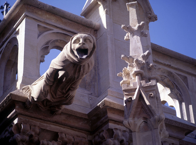Gargoyle of Amiens Cathedral