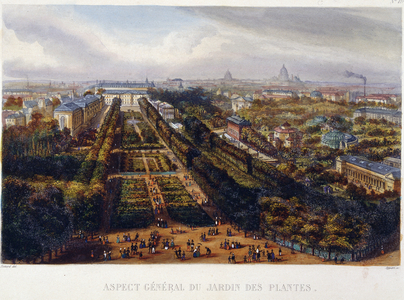 View of the Jardin des Plantes - lithography by Testard, 19th century