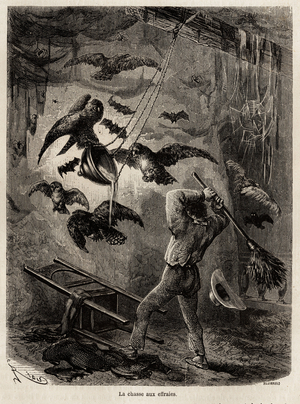 Hunting for owls refugied in the church of Sarayacu (Peru), drawing by Riou, to illustrate Paul Marcoy's journey from the Pacific Ocean to the Atlantic Ocean from 1848 to 1860. Engraving in “” Le tour du monde””, edited by Edouard Charton, 1865. Selva's collection.