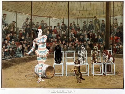 The learned dogs: circus scene with clown and dogs - after Charles Green, English chromo 1885. ¿The learned dogs: circus scene with clown and dogs - after Charles Green, English chromo 1885. ¿