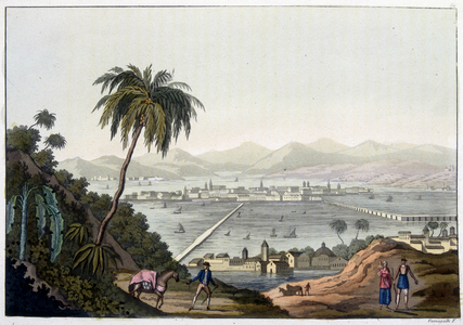 View of Mexico City, Mexico. In “” Le costume ancien et moderne””, 1819-1820 by Dr. Jules Ferrario, ed. Milan.