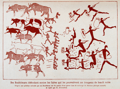 Boschimans defend a herd of oxen flies against the coffers, after a painting executed by a boschiman on the walls of a cave in the vicinity of Hermon (Southern Africa)