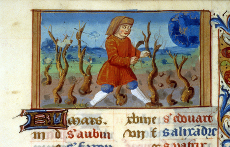 Zodiac Aries and tree size - Miniature of the Middle Ages (ref. 137, 047r) - Request permission from the Municipal Library of Toulouse (tel: 05 62 27 66 66)