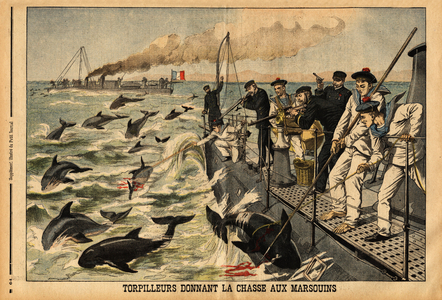 The torpedo hunting porpoises, who invade the Mediterranean by fleeing the banks of fish (sardines, anchovies, mackerels) and tearing the fishers' nets. Engraving in "Le petit journal" 22/2/1903. Selva Collection.