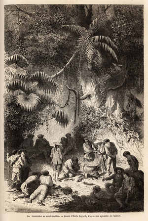 The preparation of a meal in the pristine forest in the Caravaya valley (Andes cordilliere), a boa constrictor with short broth. Engravure pour illustrrer le voyage dans les vallees de Quinquinas (Peru), by Paul Marcoy, in 1849-1861, published in “” Le tour du monde””” 1872, edited by Edouard Charton, edition Hachette, Paris. Selva Collection.
