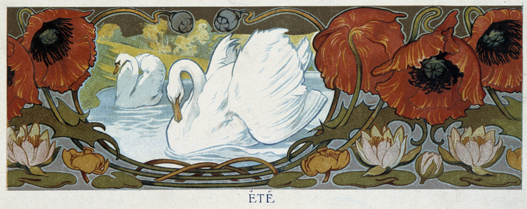 Swans