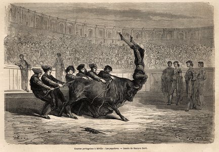 A bullfighting scene, the Pegatores in Seville, (in the Portuguese way) whose speciality consists in strongly grabbing the bull and sticking to it with the strength of their arms. Sketch taken on the live by Gustave Dore (1832-1883). Engraving to illustrate the voyage in Spain, in 1862 by Charles Davillier and Gustave Dore, in “Le tour du monde, nouveau journal des voyages”” published under the direction of Edouard Charton, 1867, Paris. Selva Collection.
