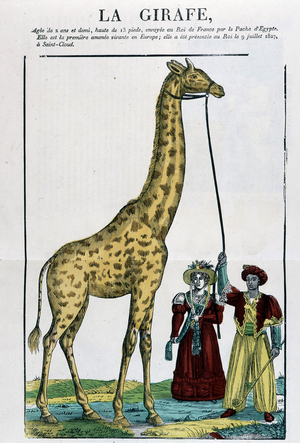 The Giraffe, 1827  (Epinal print)