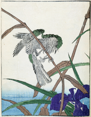 Bird on a tree. Japanese drawing by Kitao Kosuisai, 1827.