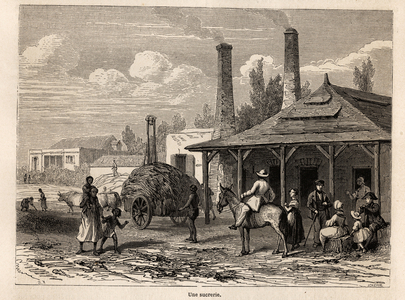 A sugar factory from the Riviere du Rempart, in Mauritius, drawing by Karl Girardet (1813-1871), to illustrate Alfred Verney's stay in Mauritius in 1861. Engraving in “” Le tour du monde””, edited by Edouard Charton, 1863. Selva's collection.