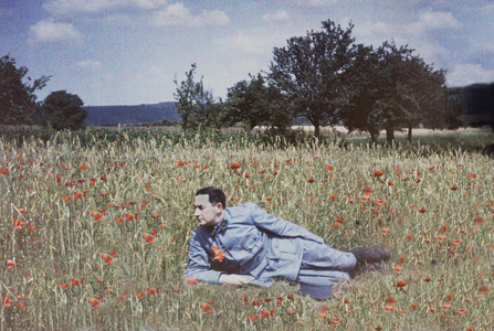 Second class soldier in a field of wheat and poppies during the First World War, 1914 to 1918. Autochrome, Paris, 1915.