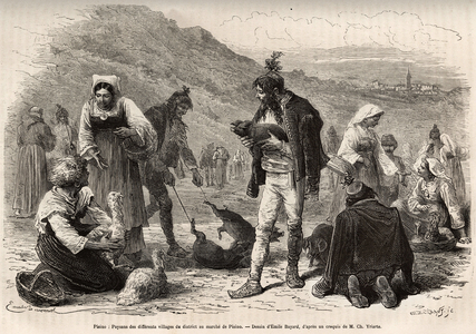 The peasants in the vicinity of Pisino (Croatia), gather for the sale of their farm products on the market: poultry, piglets..., engraving after a drawing by Emile Bayard illustrating the journey in Istria and Dalmatia, in 1874, by Charles Yriarte, published in “” Le tour du monde”” 1875, edited by Edouard Charton, edition Hachette, Paris. Selva Collection.