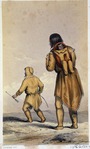 Artic Searching Expedition: a journal of a boat voyage through Rupert's land and the artic sea in search of the discovery ships under command of Sir John Franklin” by Sir John Richardson, 1851
