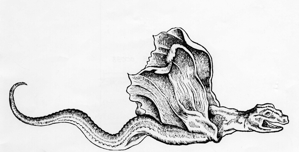 Monstre : ""Basilic ou dragon fabrique frauduleusement avec une raie"", d'apres Gesner (1558).