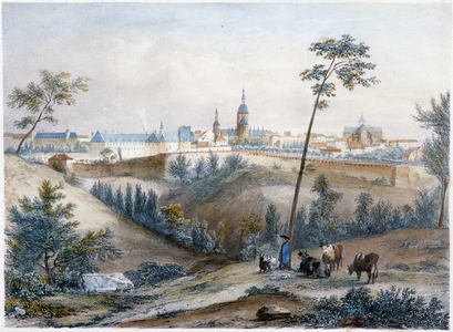 Bouvier in the Breton countryside (Dinan in the distance) - lithography by Jacottet and Benoist, 19th century