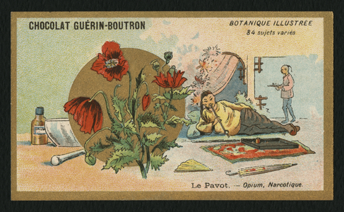 Poppy, trade card advertising the chocolate 'Guerin-Boutron', early 20th century (colour litho)