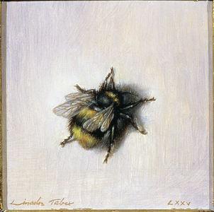 Bumble Bee, 1976 (oil on board)