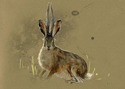 Fantastic monsters and creatures, cryptozoology: representation of a Jackalope, legendary animal mi lievre mi antelope (mythical animal a jackrabbit with antelope horns) - Drawing by Alessandro Lonati, 2012
