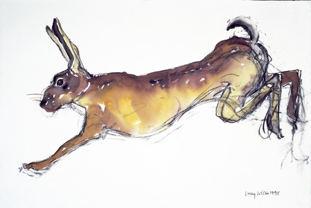Jumping Hare (w/c et fusain sur papier)