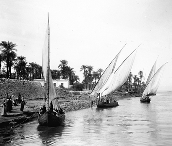 Egypt: Cook cruise, village on the edge of the Nile, bank of the Nile at the foot of a palm grove, three felouques depart all sails, 1900