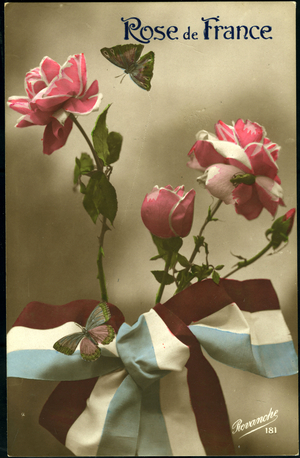 First World War: Patriotic map showing a bouquet of rose surrounded by a tricolor ribbon, titled 'Rose de France', 1915