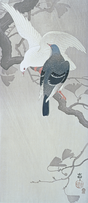 Two Doves in the rain on a branch of a Ginko tree, 1910 (colour woodblock print)