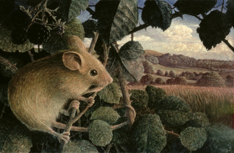 Dormouse, 1996 (tempera on panel)
