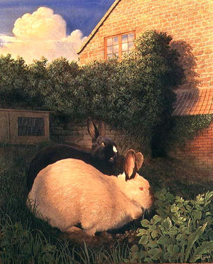 Rabbits, 1990 (w/c on paper)