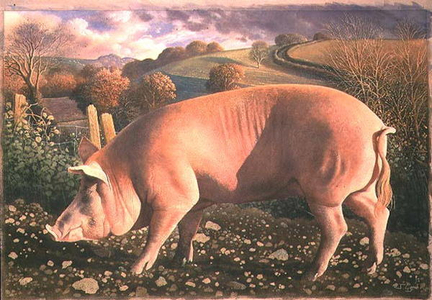 Tamworth Gilt, 1992 (tempera on panel)
