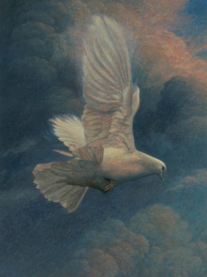 Dove in Flight, 1994 (tempera on panel)