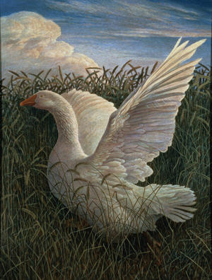 Goose in a Cornfield, 1995 (tempera on panel)