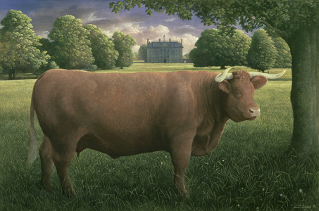 Red Devon Bull at Kingston Lacy, 1993 (w/c on paper)