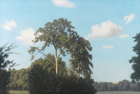 Plane trees in Hyde Park, 1948 (oil on canvas)