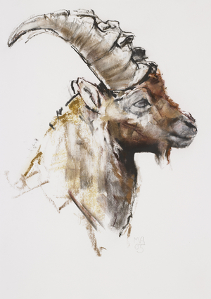 Giovanotto, 2005 (charcoal & conte on paper)